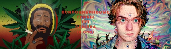 спайс Абаза