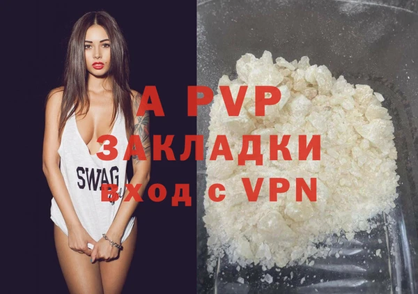 сатива Абинск