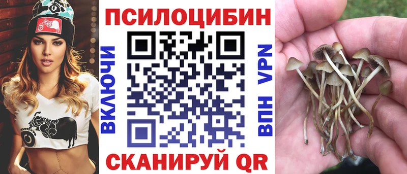 Галлюциногенные грибы прущие грибы  купить  цена  Мыски 
