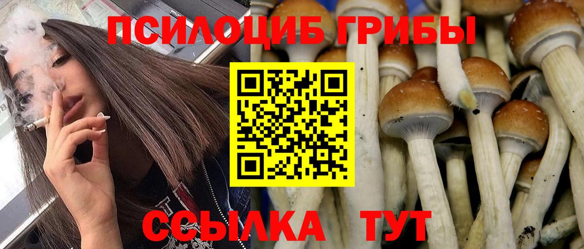 Псилоцибиновые грибы мухоморы Мыски